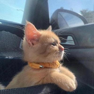 Hadi Syah avatar