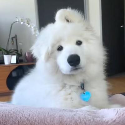 Lusiiana avatar